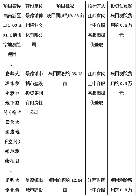 景德鎮(zhèn)市昌南新區(qū)LJ1-03-A01-1地塊、瓷都大道東側(cè)中渡口地下空間（格蘭云天大酒店地下空間）、光明大道北側(cè)利民路西側(cè)地下空間（青少年宮地下空間）、規(guī)劃二路北側(cè)地下空間地塊二（加速基地地下空間）、規(guī)劃二路北側(cè)地下空間地塊一（加速基地地下空間）、景德大道南側(cè)天寶橋西側(cè)地塊、景興大道東側(cè)如意路北側(cè)地下空間(社會(huì)公共服務(wù)